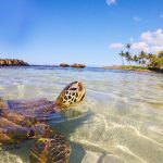 We Schedule your discuss it and create a plan