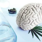 Cisco Switches Have Excellent Management Access To Attain Business Success