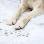 What Makes Anniversary Flowers Feel Personal Rather Than Generic?